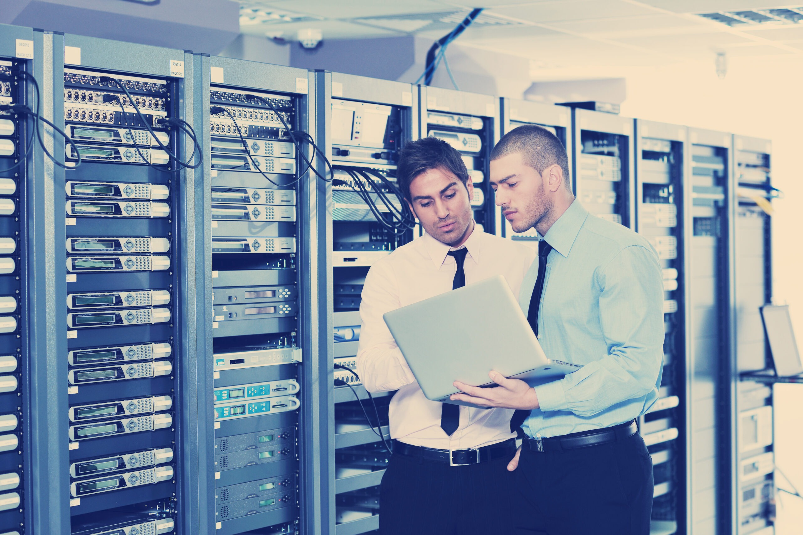 Website Hosting and Domain Services tqm